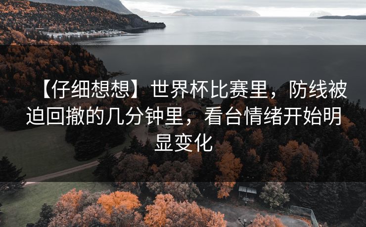 【仔细想想】世界杯比赛里,防线被迫回撤的几分钟里,看台情绪开始明显变化